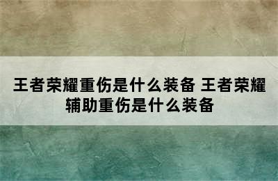 王者荣耀重伤是什么装备 王者荣耀辅助重伤是什么装备